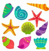 Image result for Coquillage Shell Image