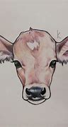 Image result for Baby Cow Drawing