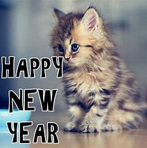 Image result for Happy New Year Cats Funny