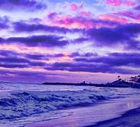 Image result for Light Purple California