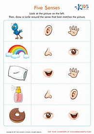 Image result for 5 Senses Activities Worksheets for Kindergarten