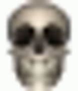 Image result for Funny Skull Emoji