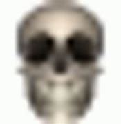 Image result for Android Skeleton Emoji