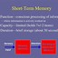 Image result for Short-Term Memory 7