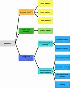 Image result for Short-Term Memory Techniques