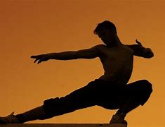 Image result for Yoga for Martial Arts