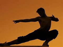 Image result for Cool Martial Arts Poses