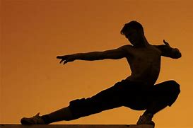 Image result for Martial Arts in Flames