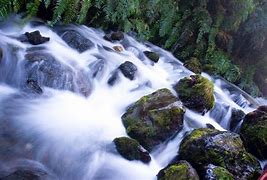 Image result for Moss Rock Waterfall Landscape
