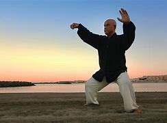 Image result for Tai Chi Chuan Anime