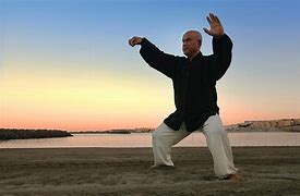 Image result for Tai Chi Chuan Curriculum Design