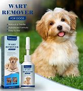 Image result for Warts On Dogs Treatment