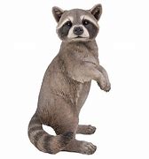 Image result for Resin Raccoon