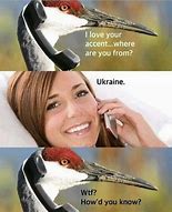 Image result for Funny Ukraine Meme