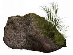 Image result for Moss Grass Rock