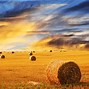 Image result for agricult8ra