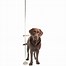 Image result for Swedish Kennel Club Dog Measuring Stick