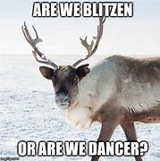 Image result for Reindeer Meme