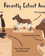 Image result for All Animals That Are Extinct