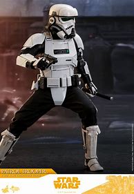 Image result for Star Wars Patrol Trooper