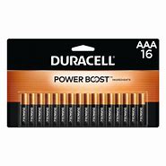 Image result for Duracell 9 Volt Alkaline Battery