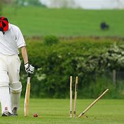 Image result for Cricket Wicket