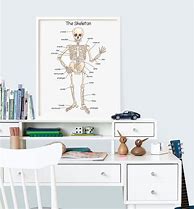 Image result for Skeleton Poster