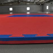 Image result for Martial Arts Red Mats