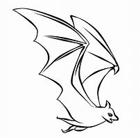 Image result for Bat Wings Coloring Page