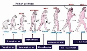 Image result for Earliest Humans Timeline