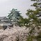 Image result for Nagoya Castle