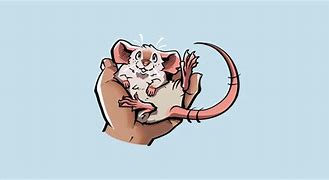 Image result for Holding a Rat Meme