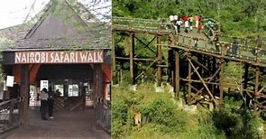 Image result for Nairobi Safari Walk