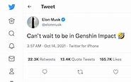Image result for Genshin Impact Elon Musk