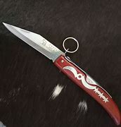 Image result for Hunting Pocket Knife