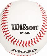 Image result for Wilson Baseball Bat A1330