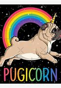Image result for Galaxy Unicorn Pug