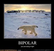 Image result for Bipolar Mountain Climber Funny