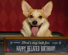 Image result for Belated Birthday Wishes Dog