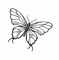 Image result for Pretty Butterflies Drawings