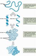 Image result for Amivantamab Structure