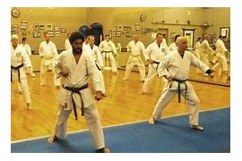 Image result for Karate Student