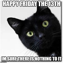 Image result for Black Friday Cat Meme