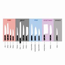 Image result for Types of Kitchen Knives Chart