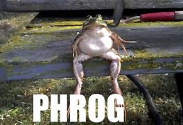 Image result for Phrog On Da Bread Meme