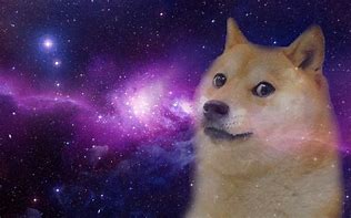 Image result for Doge Meme Background