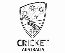 Image result for Cricket Wireless Logo Charactors