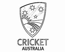 Image result for Cricket Wireless Prepaid Logo