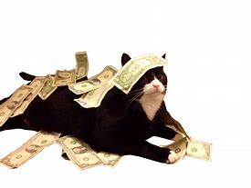 Image result for Cat with Money Banner