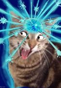 Image result for Cheer Up Cat Meme